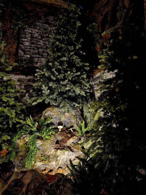 Le Enecy - Spa - Coeur Vieille Ville Annecy Bagian luar foto